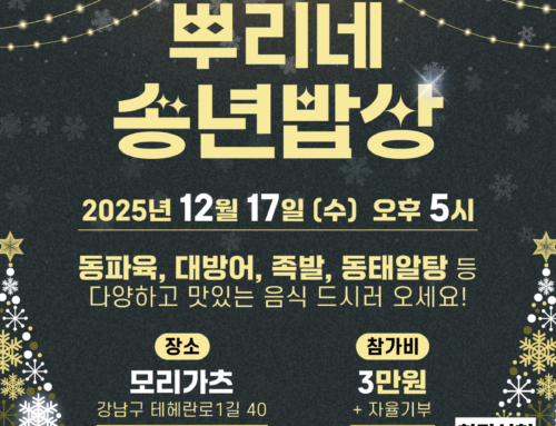 2025  진행 안내