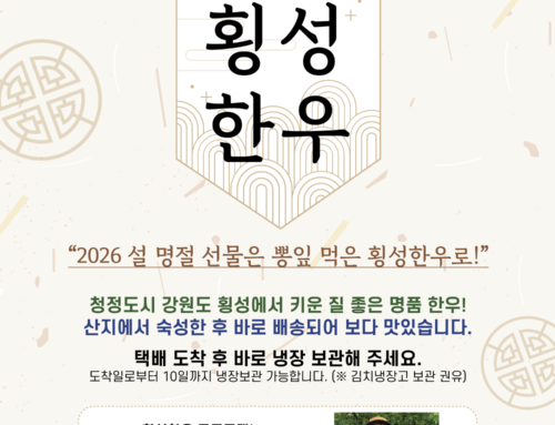 2026 설 명절  안내